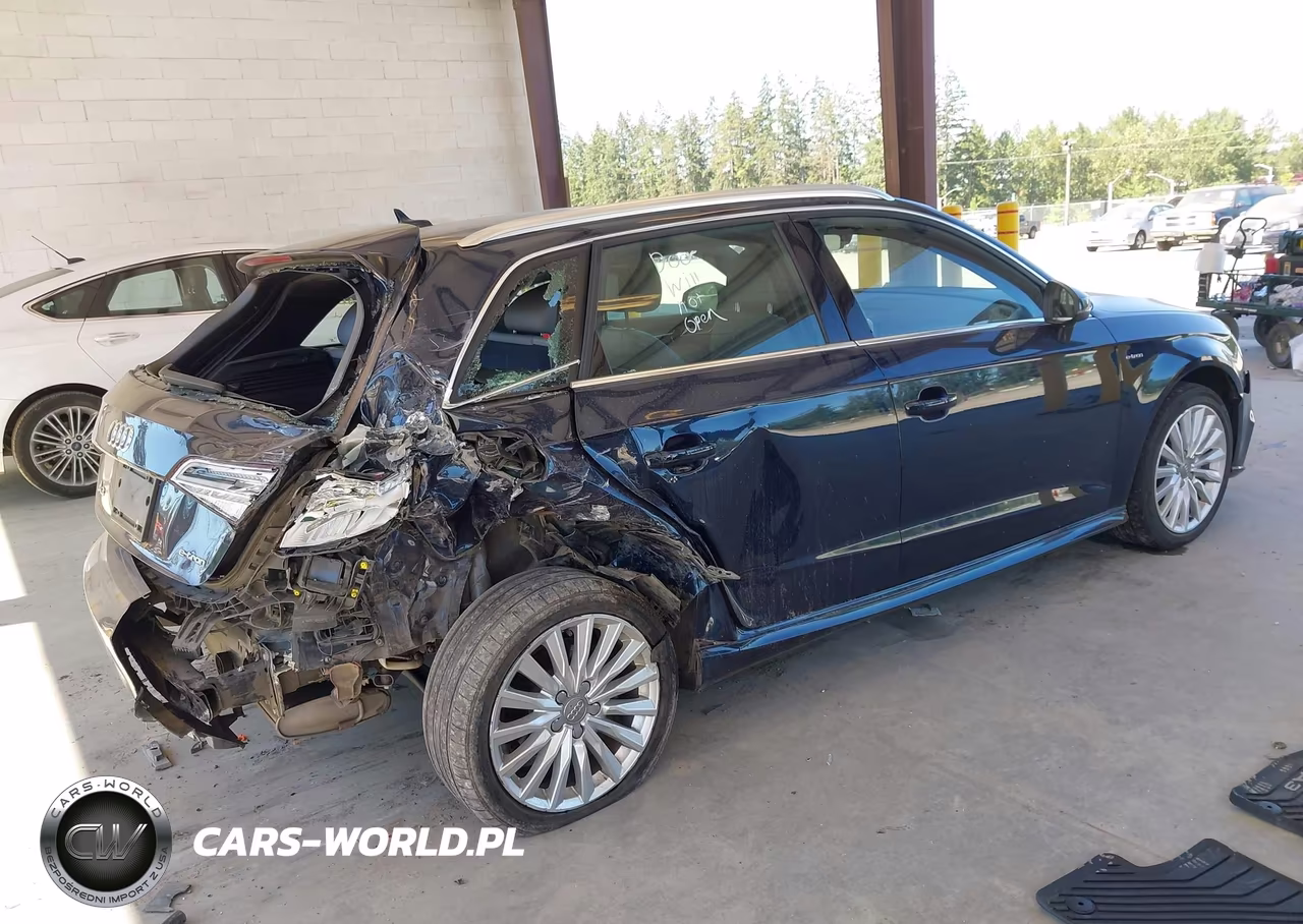 2018 Audi A3 E-Tron 1.4T Premium-1.4T Tech Premium VIN:WAUTPBFF0JA062636 - 4