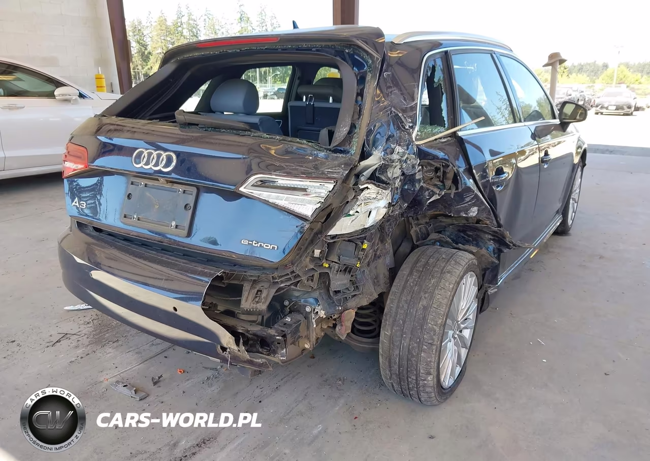 2018 Audi A3 E-Tron 1.4T Premium-1.4T Tech Premium VIN:WAUTPBFF0JA062636 - 6