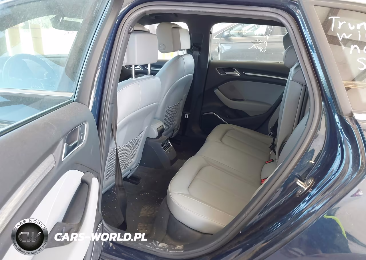 2018 Audi A3 E-Tron 1.4T Premium-1.4T Tech Premium VIN:WAUTPBFF0JA062636 - 8