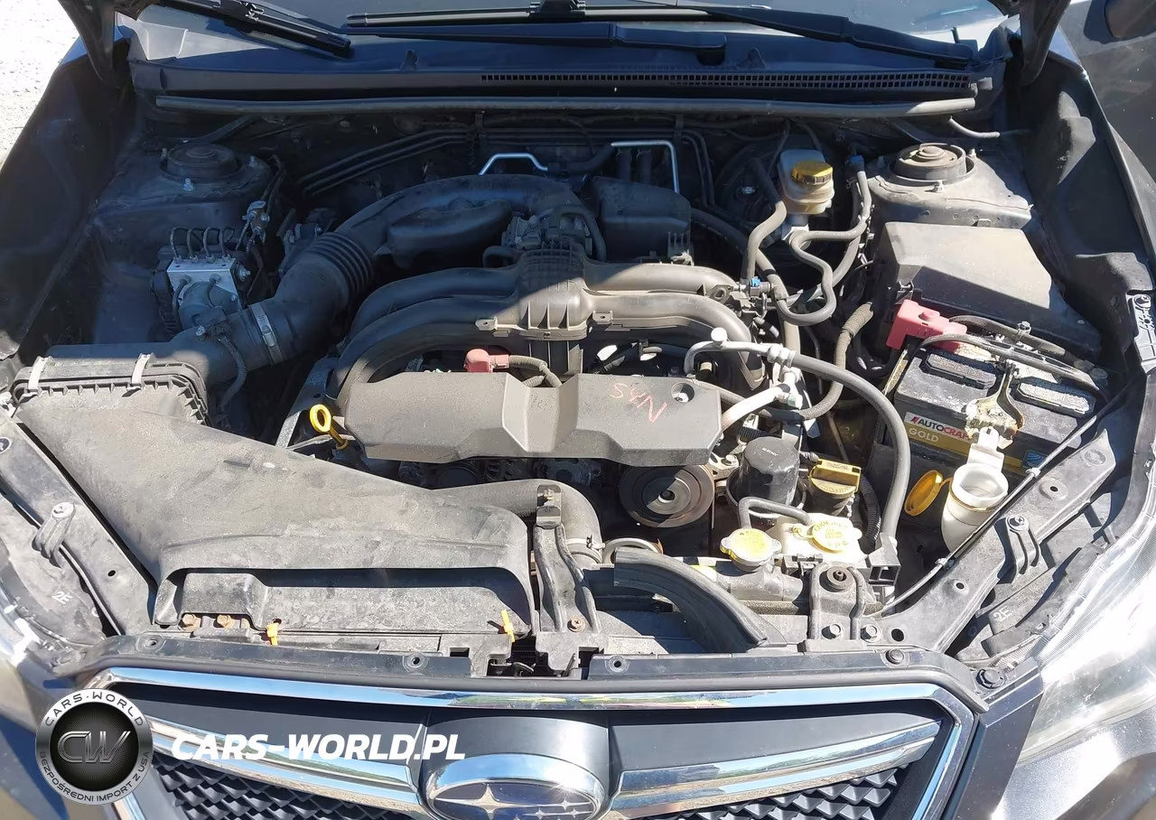 2016 Subaru Crosstrek 2.0I Limited VIN:JF2GPAKC9G8243942 - 10