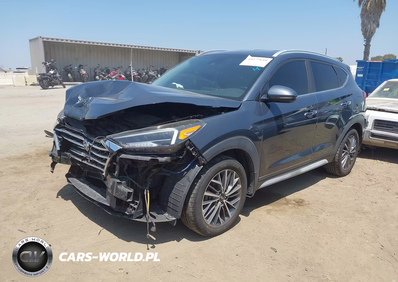 2019 Hyundai Tucson Limited VIN:KM8J33AL4KU994603 - 2