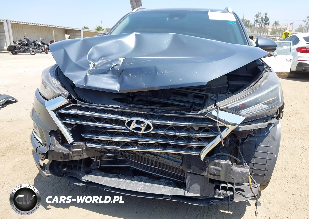 2019 Hyundai Tucson Limited VIN:KM8J33AL4KU994603 - 6