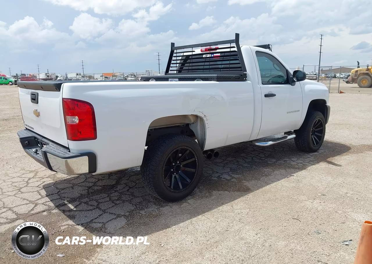 2010 Chevrolet Silverado 1500 Work Truck VIN:1GCPCPEXXAZ229416 - 4