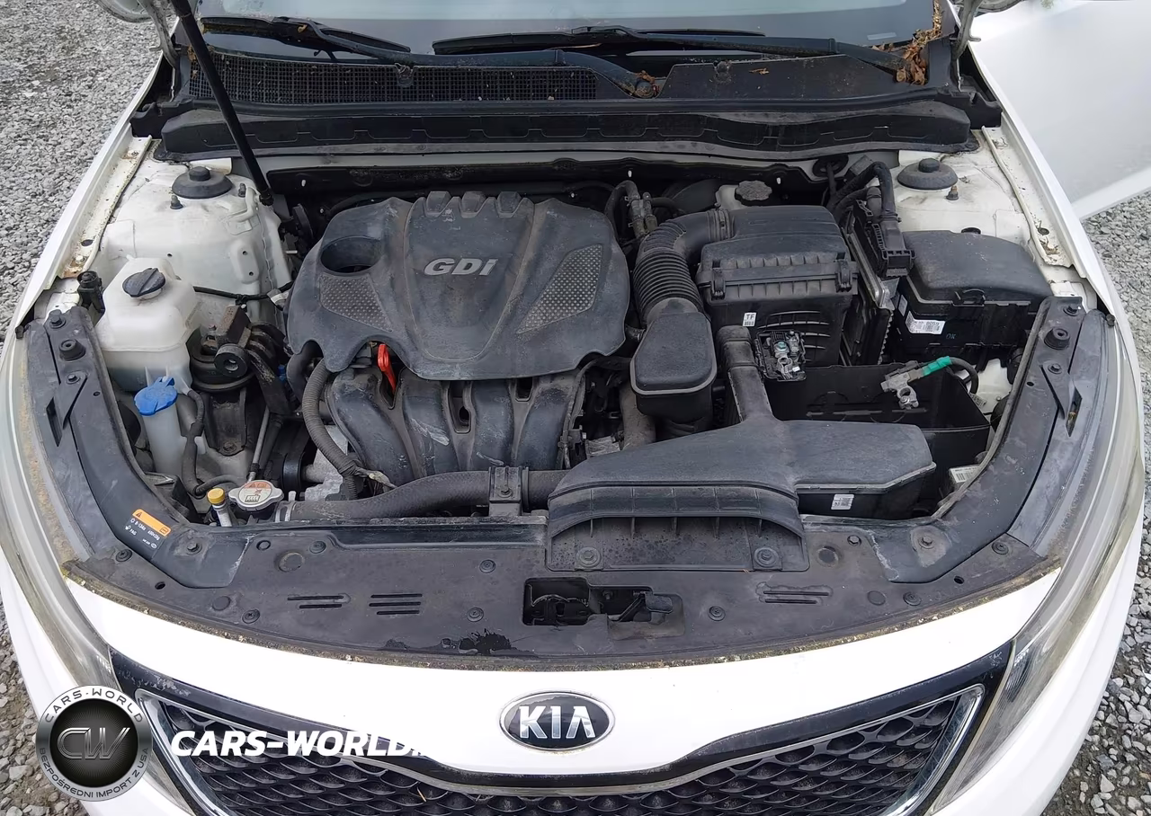 2015 Kia Optima Lx VIN:KNAGM4A77F5632802 - 10