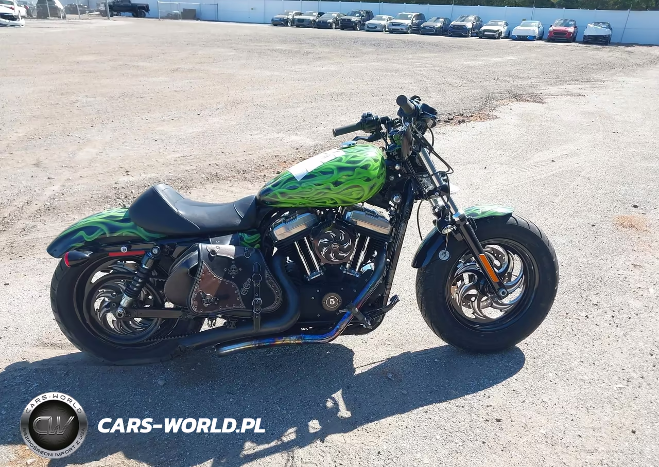 2014 Harley-Davidson Xl1200 Forty-Eight VIN:1HD1LC314EC441586 - 11