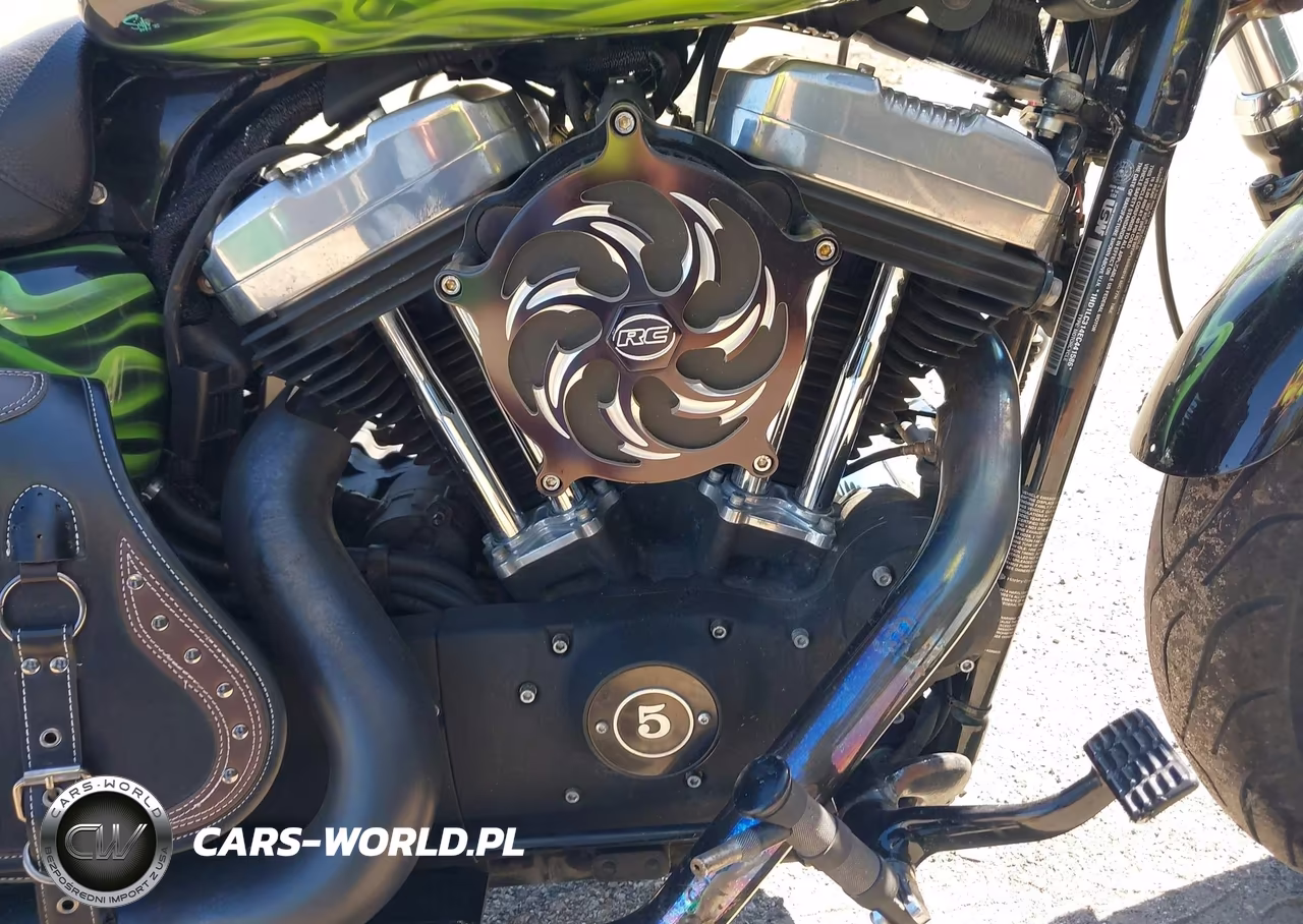 2014 Harley-Davidson Xl1200 Forty-Eight VIN:1HD1LC314EC441586 - 8