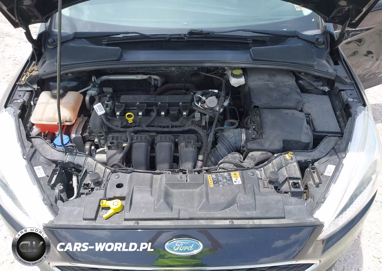 2018 Ford Focus Se VIN:1FADP3F26JL327502 - 10