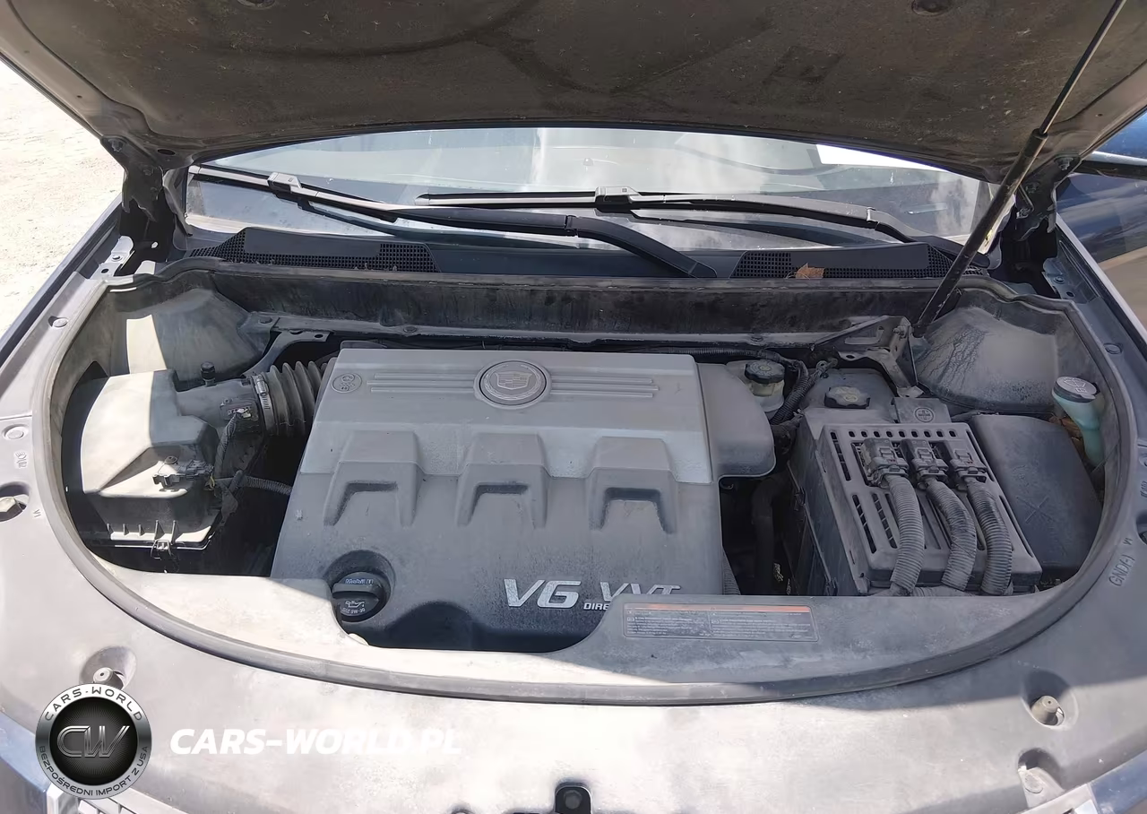 2010 Cadillac Srx Performance Collection VIN:3GYFNEEY0AS542551 - 10