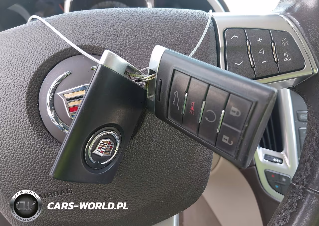 2010 Cadillac Srx Performance Collection VIN:3GYFNEEY0AS542551 - 11
