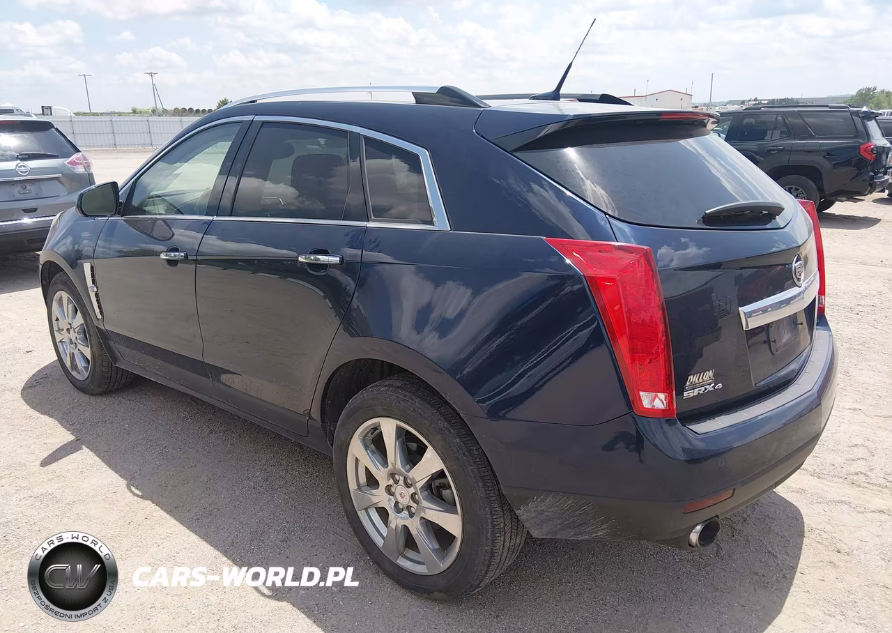 2010 Cadillac Srx Performance Collection VIN:3GYFNEEY0AS542551 - 3