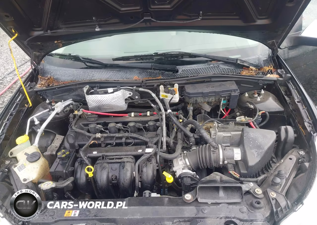 2011 Ford Focus Sel VIN:1FAHP3HN5BW187418 - 10