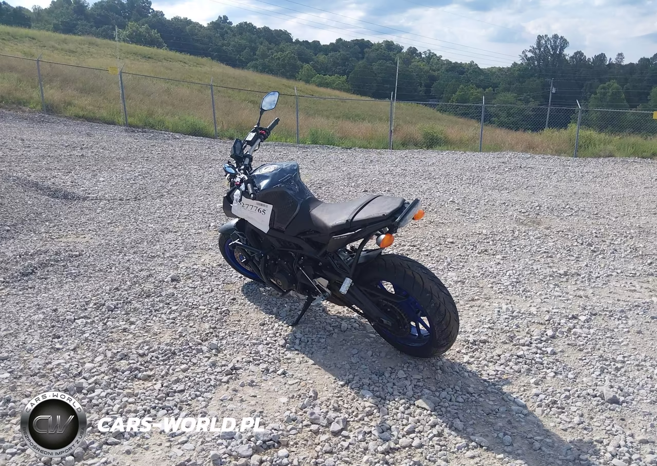 2014 Yamaha Fz09 VIN:JYARN33E7EA004299 - 3