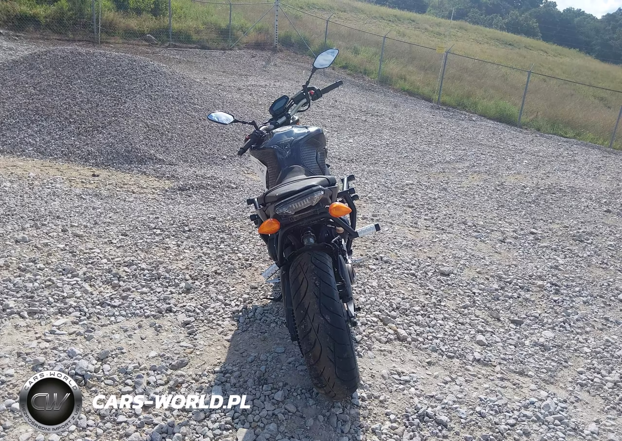 2014 Yamaha Fz09 VIN:JYARN33E7EA004299 - 6
