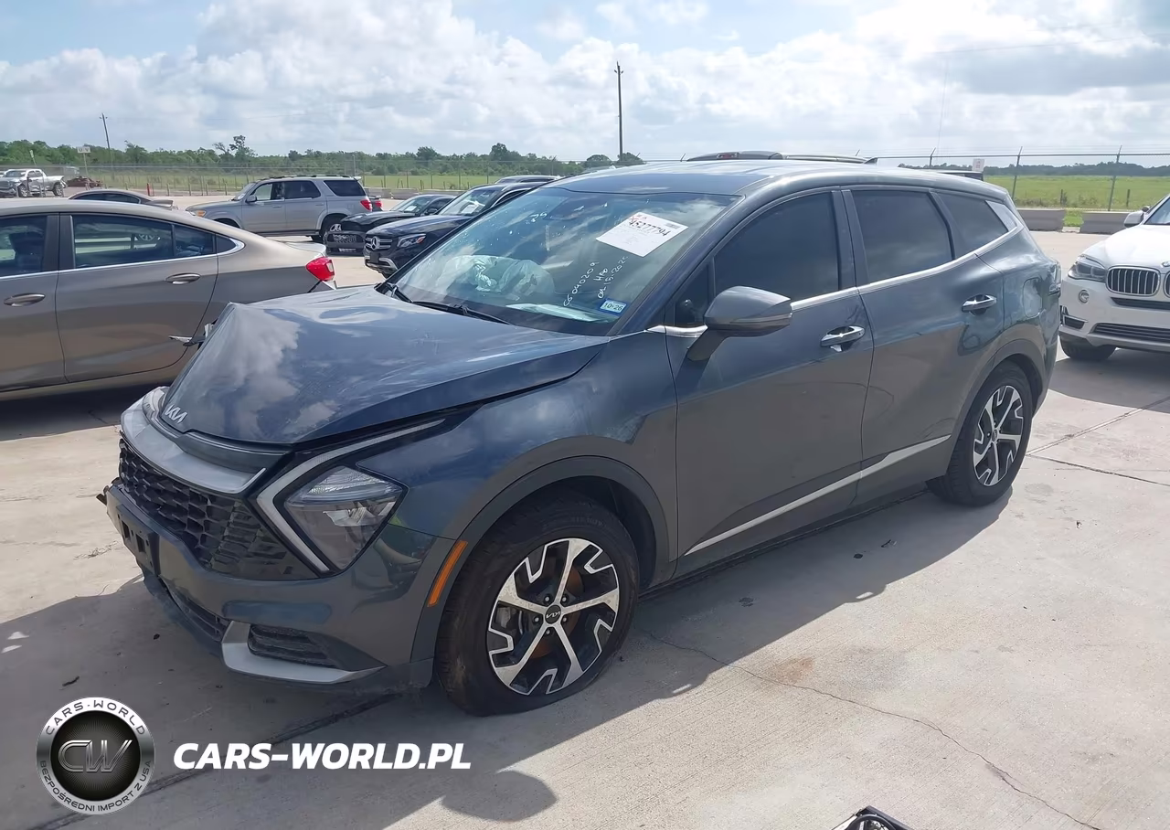 2023 Kia Sportage Ex VIN:5XYK33AF4PG135099 - 2