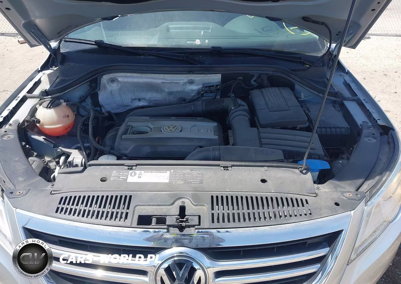 2010 Volkswagen Tiguan Se VIN:WVGAV7AX4AW509089 - 10