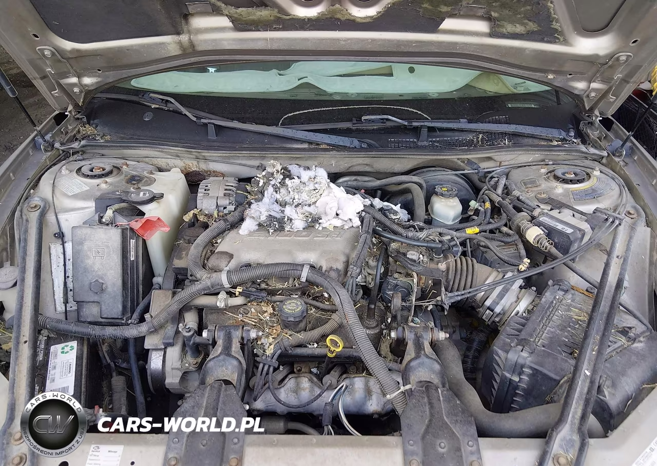2001 Honda Accord 2.3 Ex VIN:1HGCG31501A004910 - 10