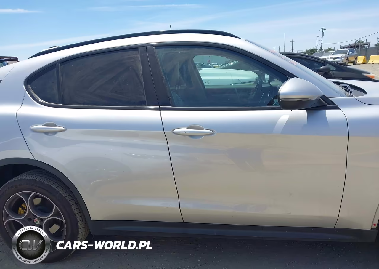 2019 Alfa Romeo Stelvio Sport Rwd VIN:ZASPAJAN1K7C35410 - 14
