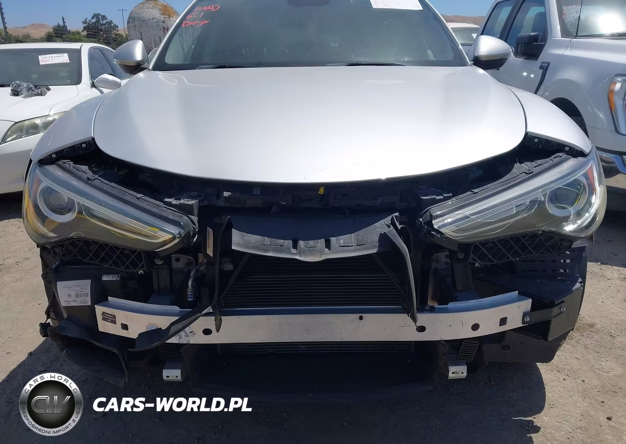 2019 Alfa Romeo Stelvio Sport Rwd VIN:ZASPAJAN1K7C35410 - 6