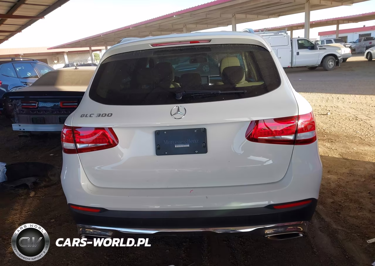 2016 Mercedes-Benz Glc 300 VIN:WDC0G4JB7GF042556 - 17