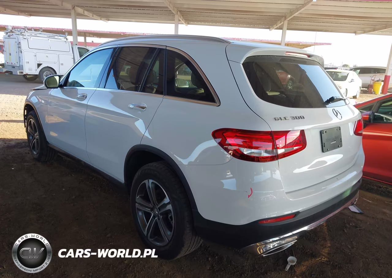 2016 Mercedes-Benz Glc 300 VIN:WDC0G4JB7GF042556 - 3