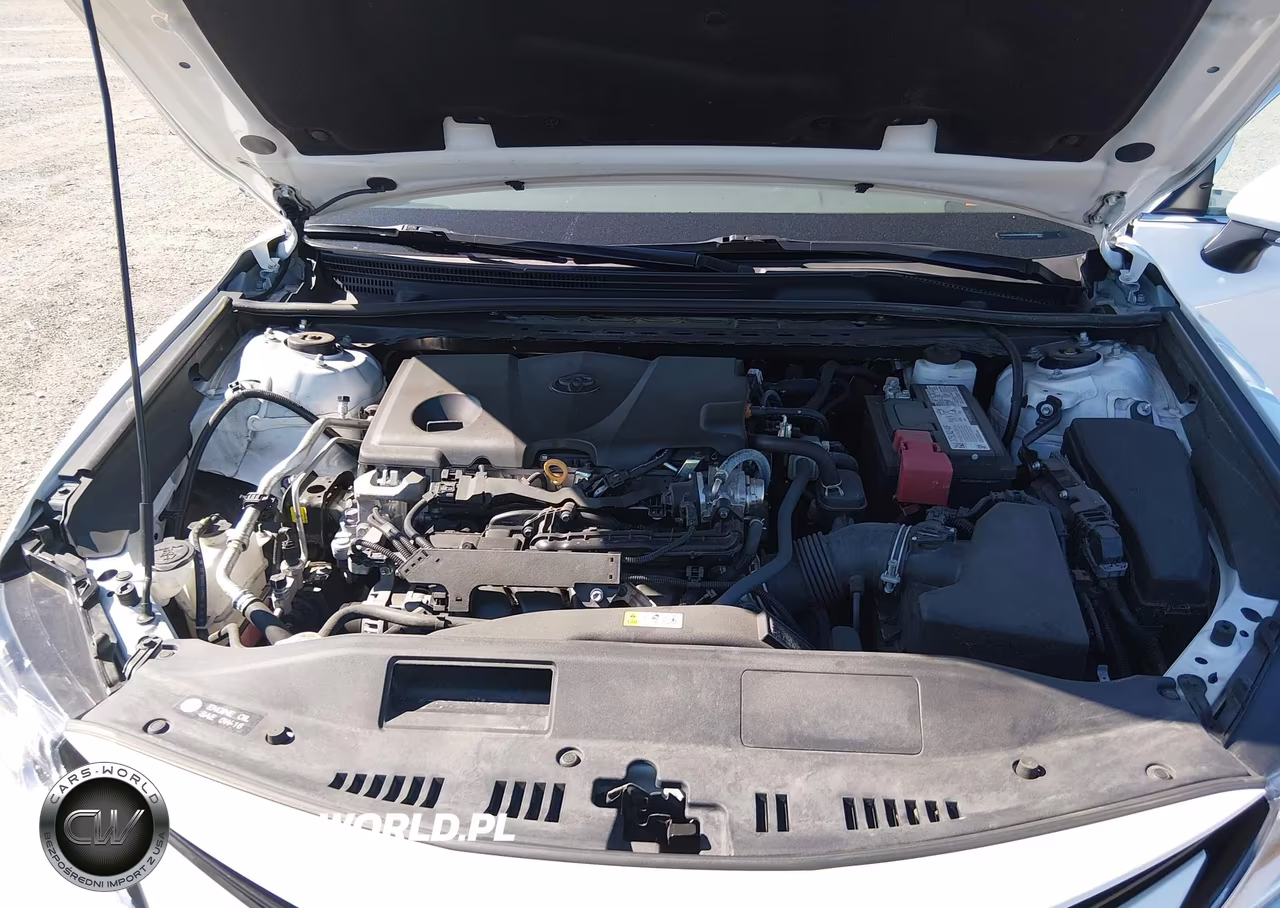 2023 Toyota Camry Le VIN:4T1R11AK6PU765240 - 10