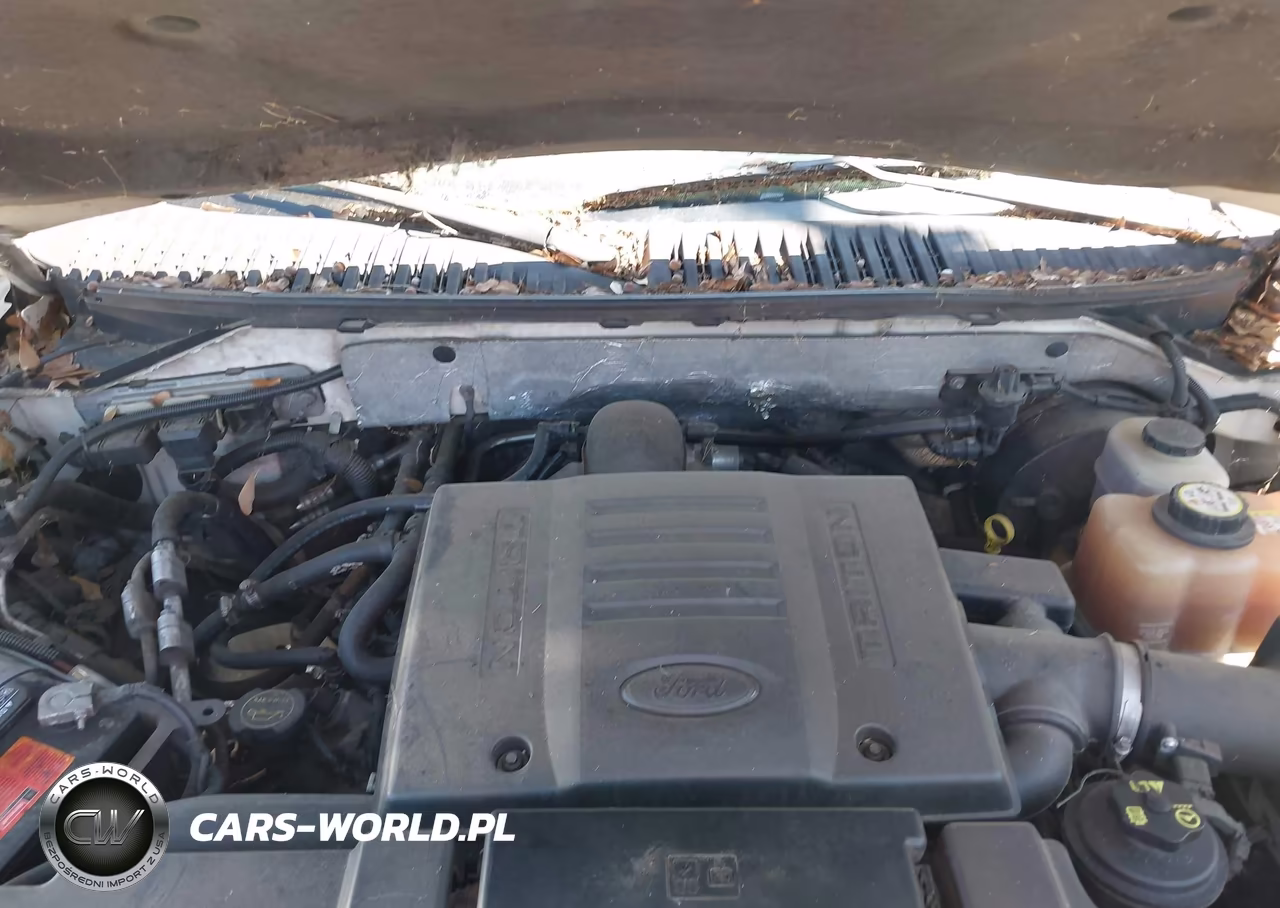 2007 Ford Expedition El Limited VIN:1FMFK19527LA19713 - 10