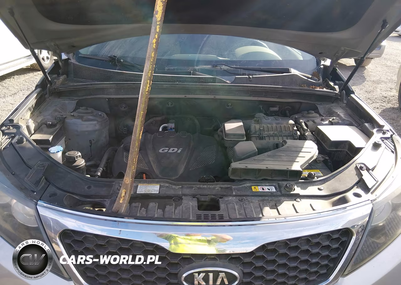2013 Kia Sorento Lx VIN:5XYKT4A69DG423217 - 10