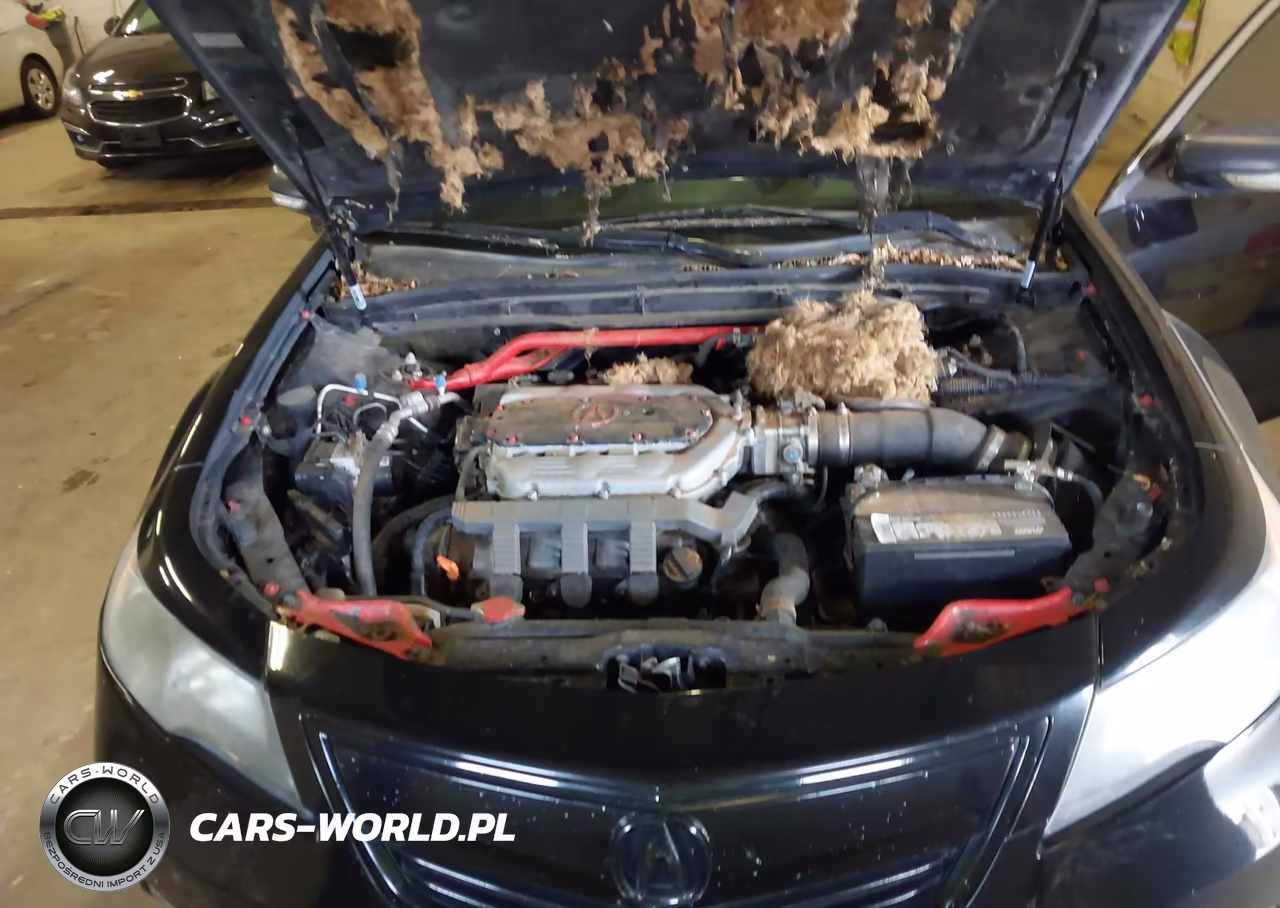 2012 Acura Tl 3.5 VIN:19UUA8F54CA032692 - 10
