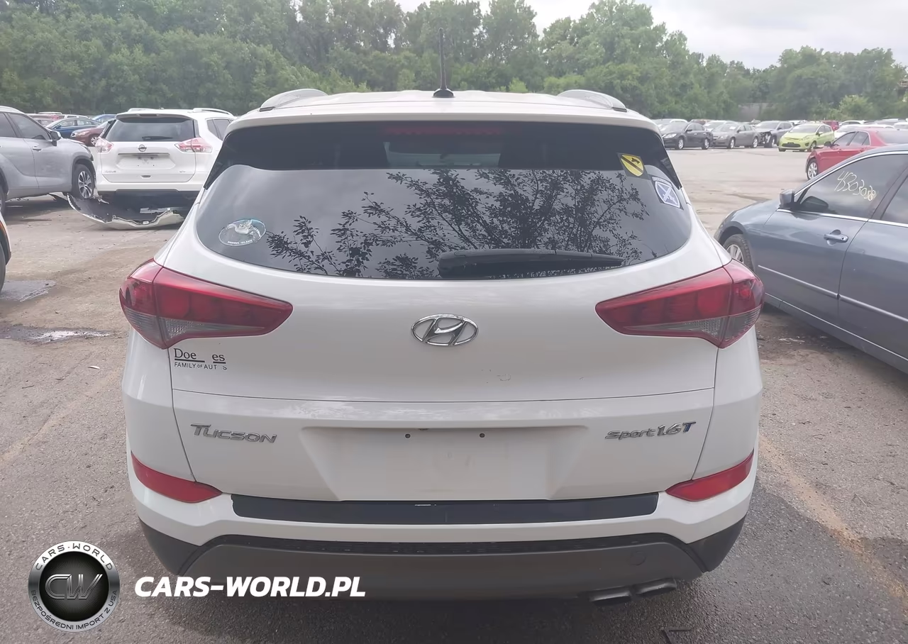 2016 Hyundai Tucson Sport VIN:KM8J33A27GU116517 - 16