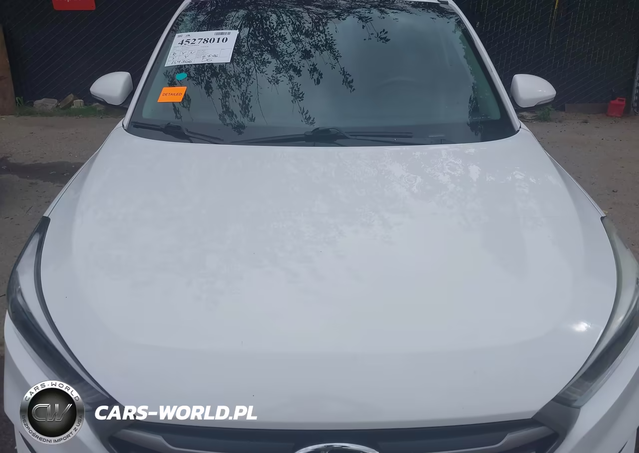 2016 Hyundai Tucson Sport VIN:KM8J33A27GU116517 - 17