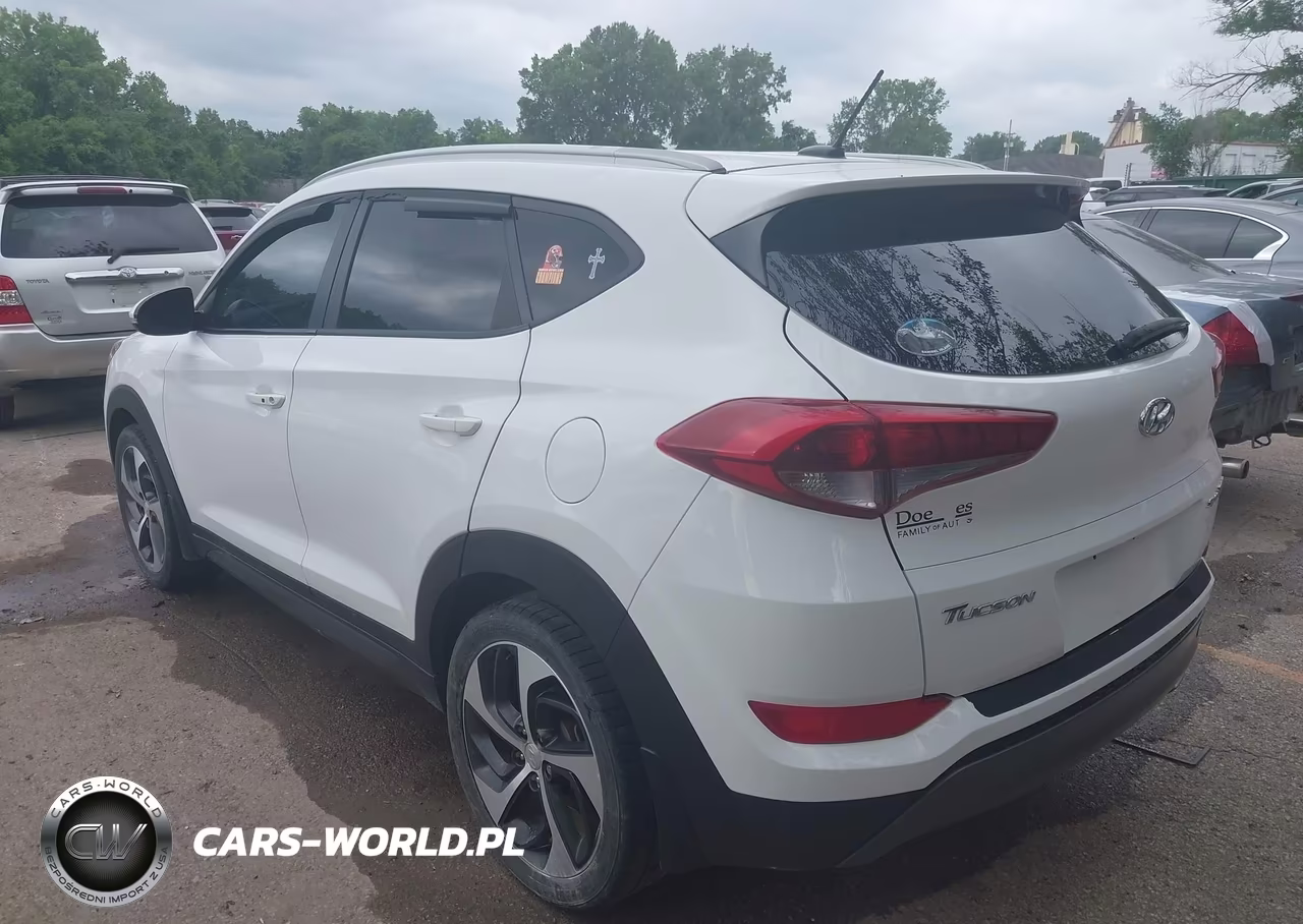 2016 Hyundai Tucson Sport VIN:KM8J33A27GU116517 - 3