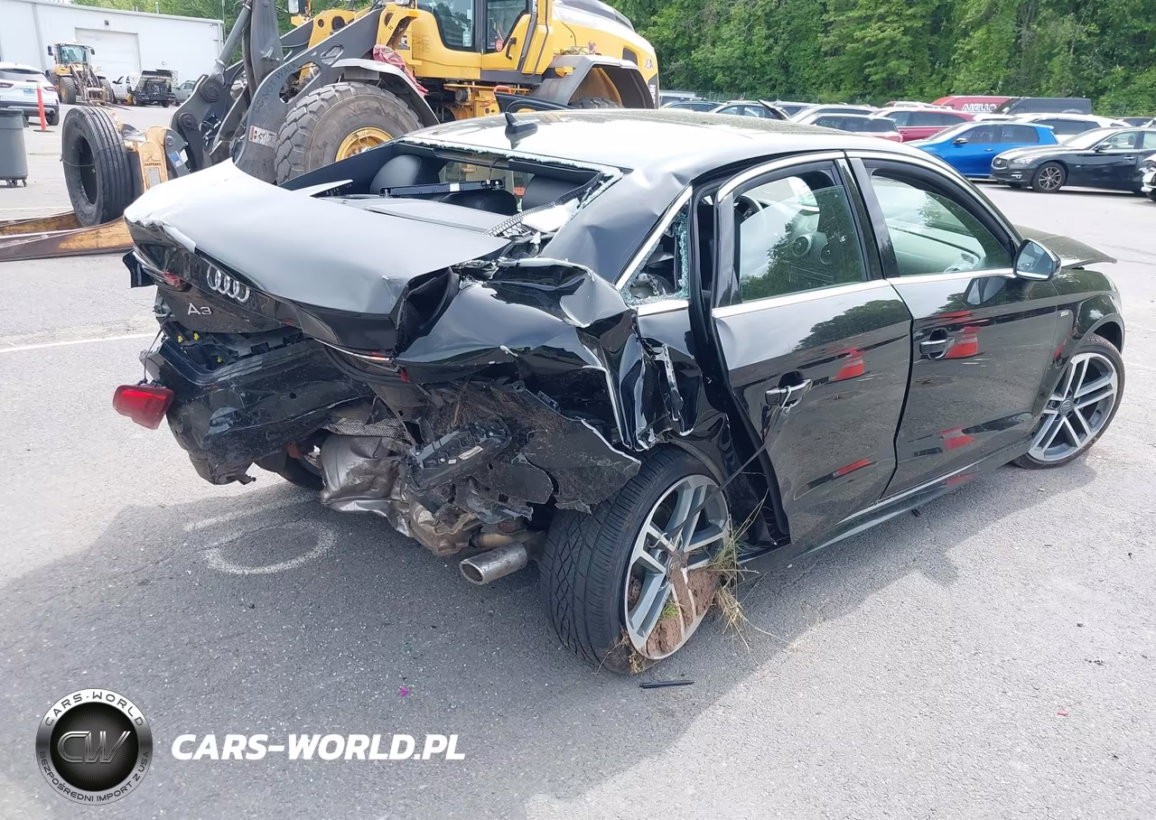 2018 Audi A3 2.0T Premium-2.0T Tech Premium VIN:WAUJ8GFF2J1045824 - 4