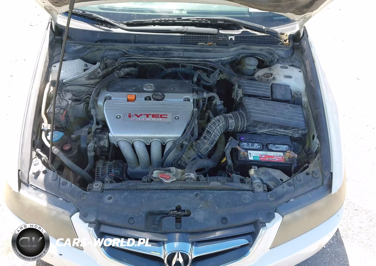 2004 Acura Tsx VIN:JH4CL96834C043708 - 10