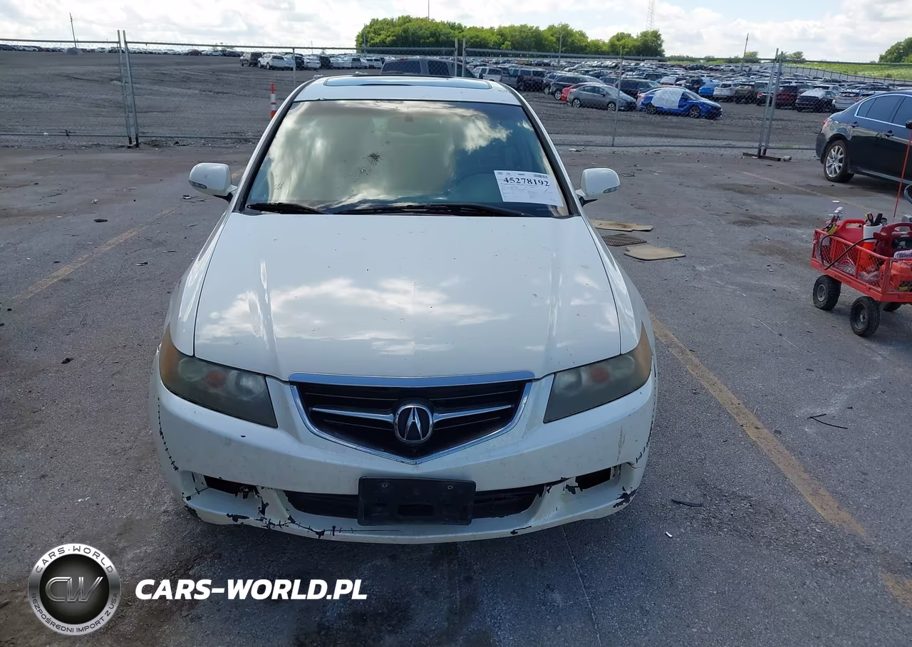 2004 Acura Tsx VIN:JH4CL96834C043708 - 13