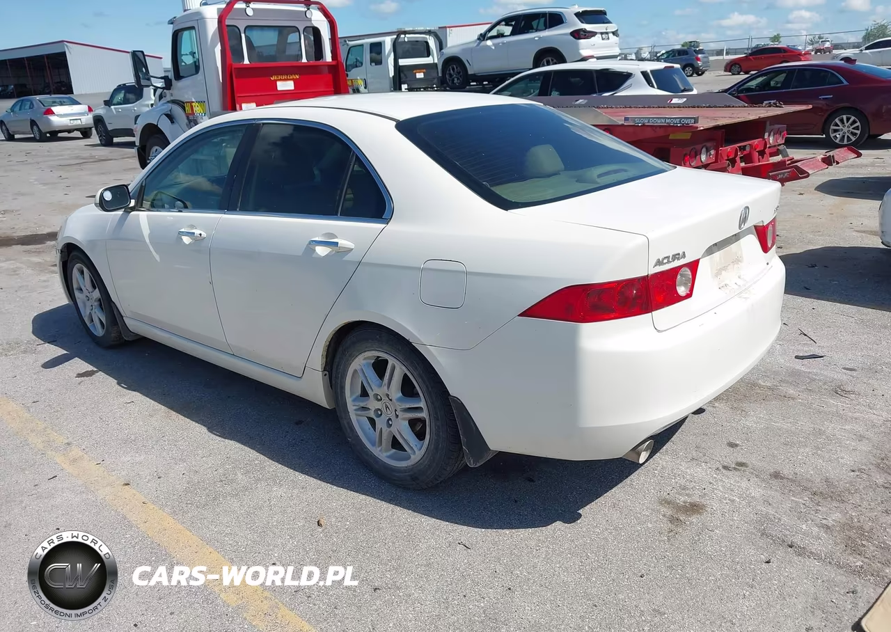 2004 Acura Tsx VIN:JH4CL96834C043708 - 3
