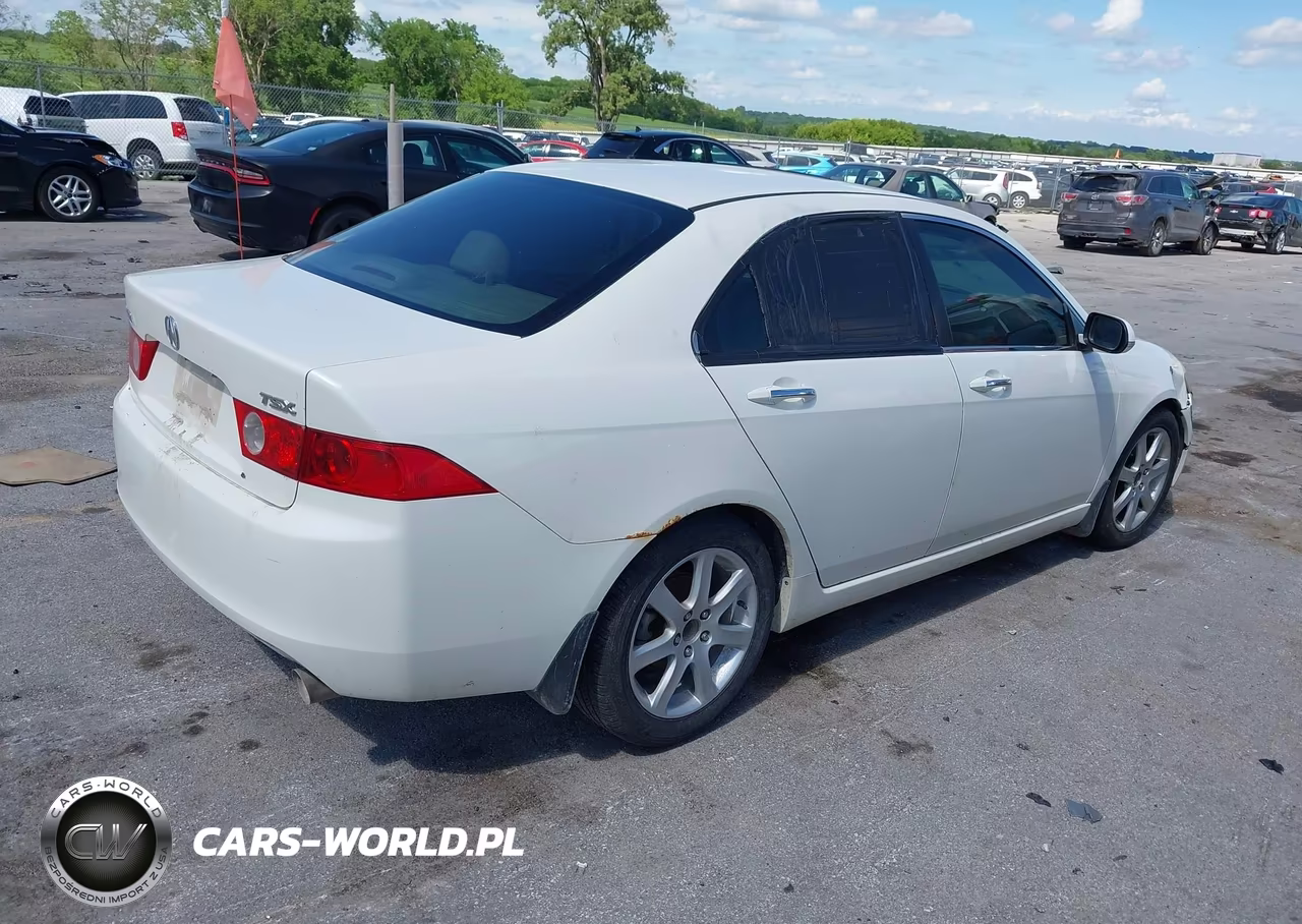 2004 Acura Tsx VIN:JH4CL96834C043708 - 4