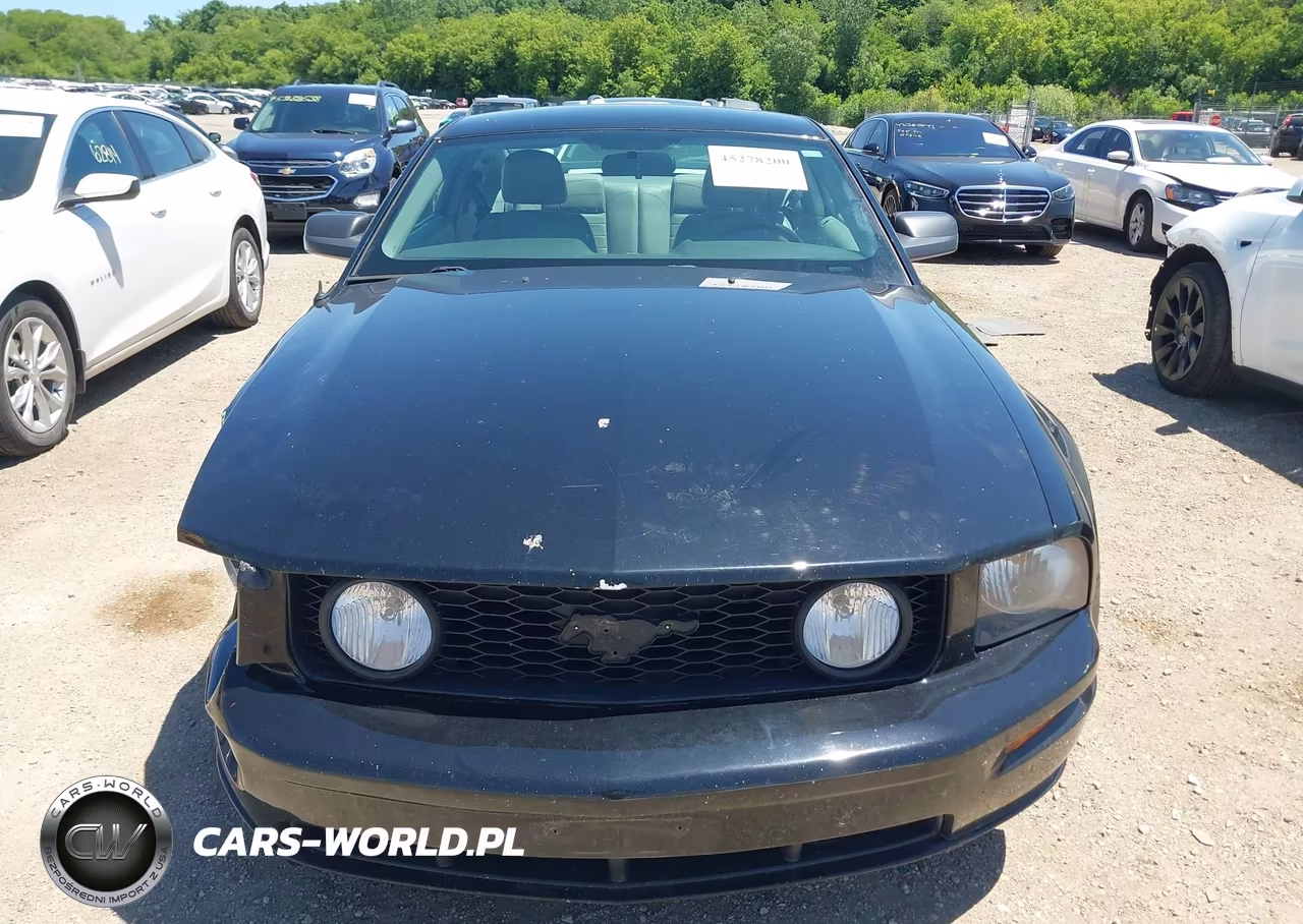2009 Ford Mustang Gt-Gt Premium VIN:1ZVHT82H395117757 - 12