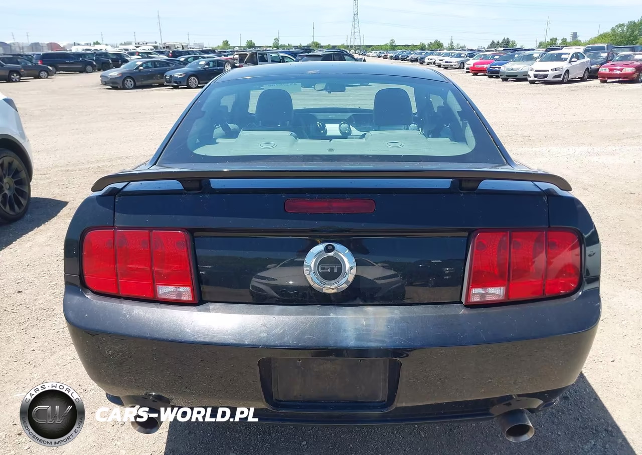 2009 Ford Mustang Gt-Gt Premium VIN:1ZVHT82H395117757 - 16