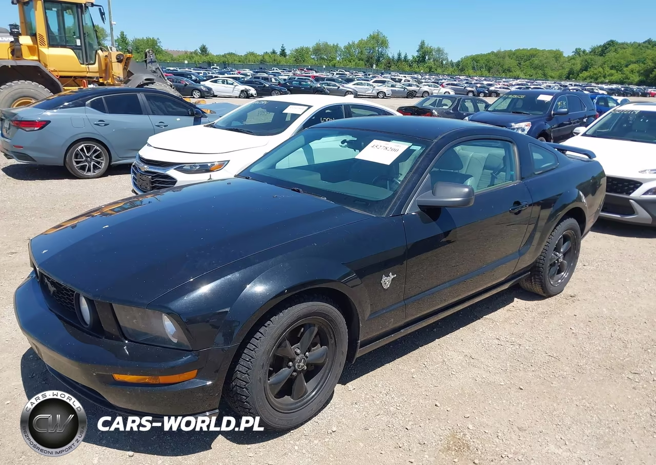 2009 Ford Mustang Gt-Gt Premium VIN:1ZVHT82H395117757 - 2