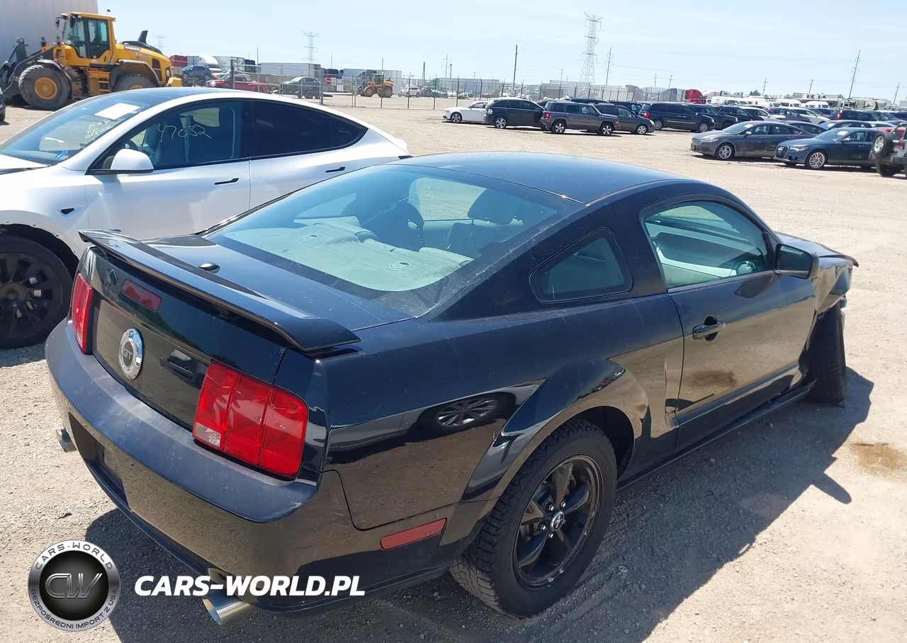 2009 Ford Mustang Gt-Gt Premium VIN:1ZVHT82H395117757 - 4