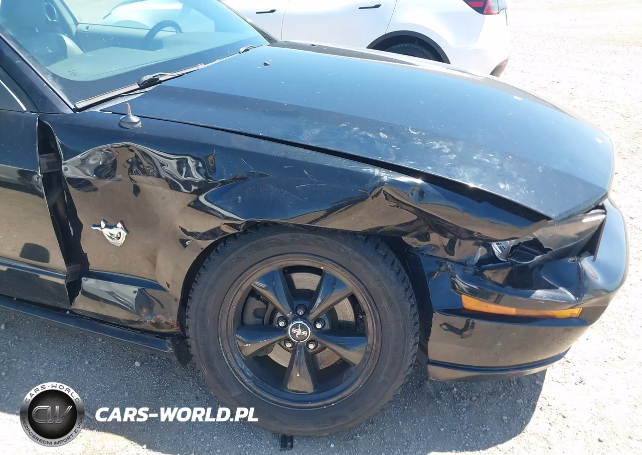 2009 Ford Mustang Gt-Gt Premium VIN:1ZVHT82H395117757 - 6