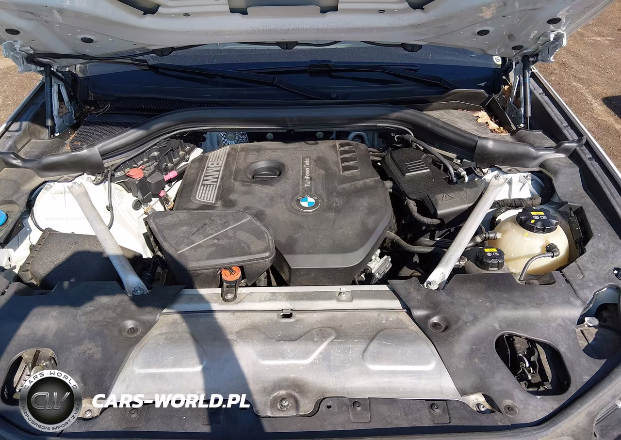 2019 BMW X3 Sdrive30I VIN:5UXTR7C53KLF25737 - 10