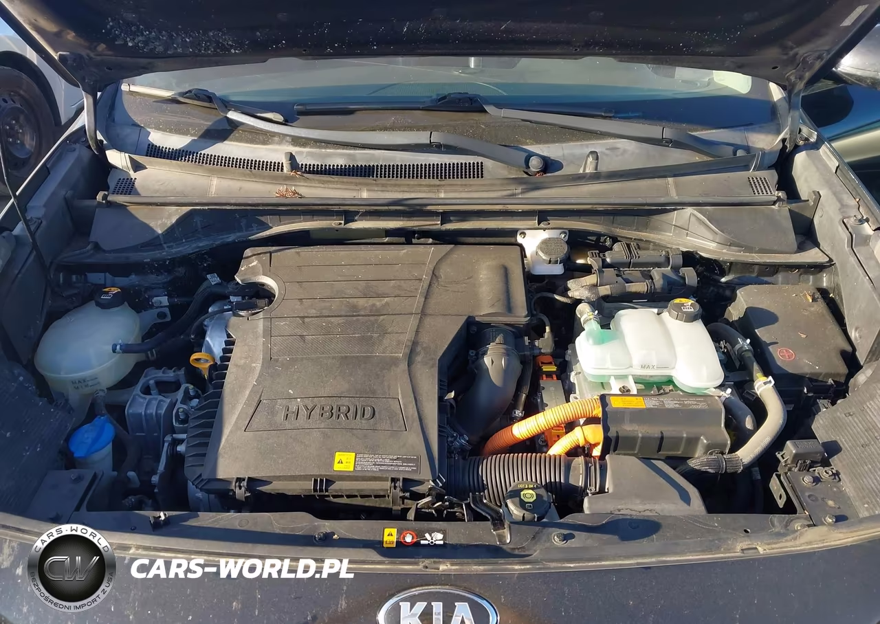 2017 Kia Niro Ex VIN:KNDCC3LC1H5095694 - 10