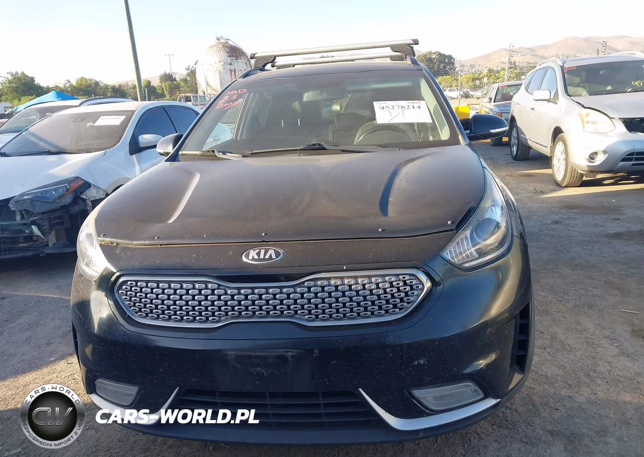 2017 Kia Niro Ex VIN:KNDCC3LC1H5095694 - 12