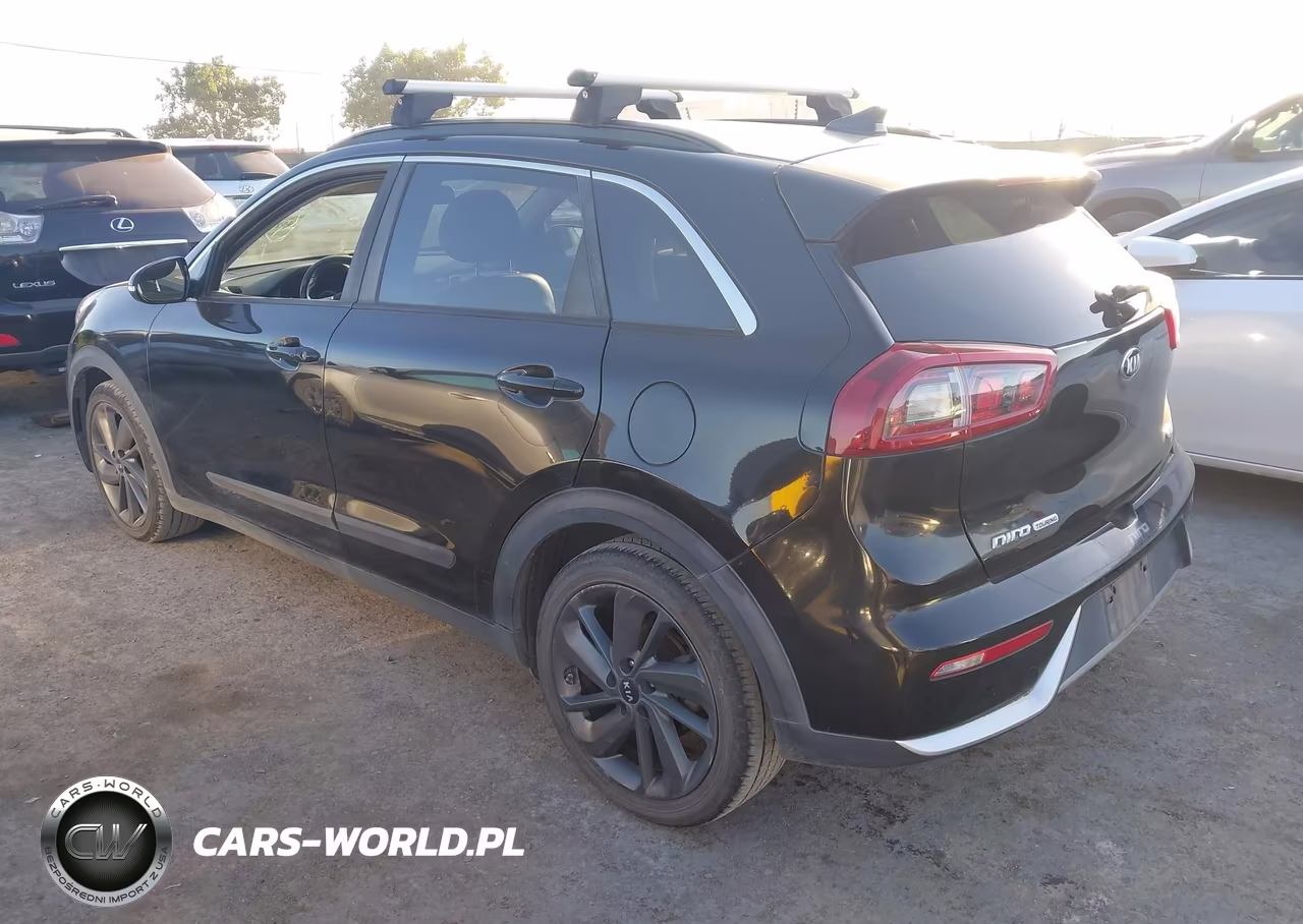 2017 Kia Niro Ex VIN:KNDCC3LC1H5095694 - 3