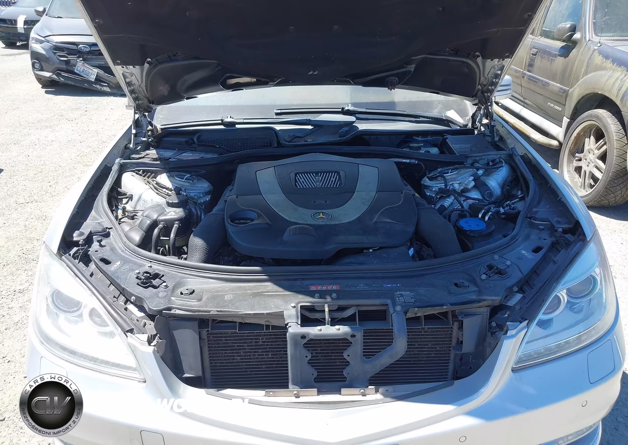 2010 Mercedes-Benz S 550 4Matic VIN:WDDNG8GB3AA321488 - 10