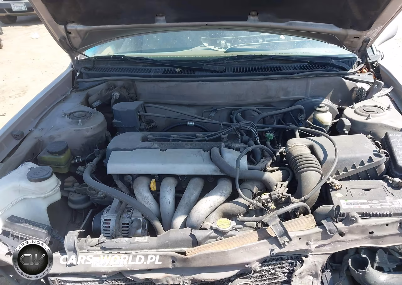 1999 Toyota Corolla Le VIN:1NXBR12E1XZ206990 - 10
