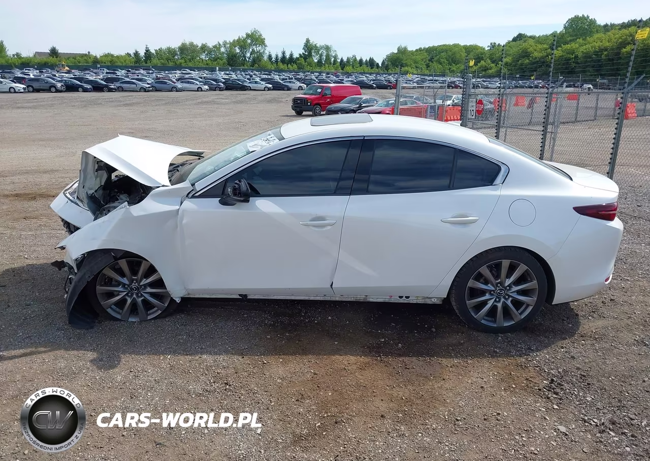2019 Mazda Mazda3 Premium Package VIN:3MZBPAEM8KM103766 - 14