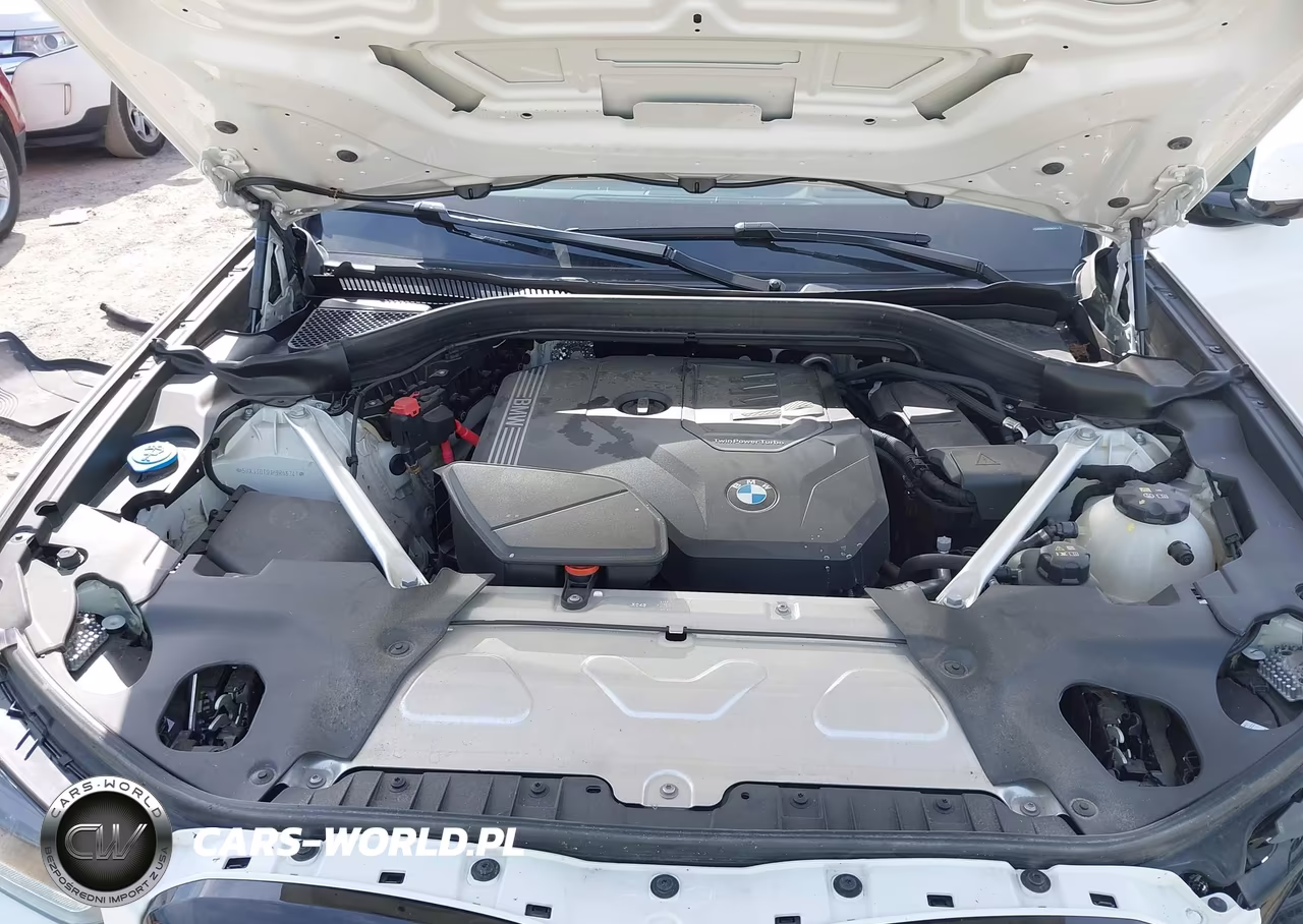 2023 BMW X4 xDrive30I VIN:5UX33DT01P9R66241 - 10