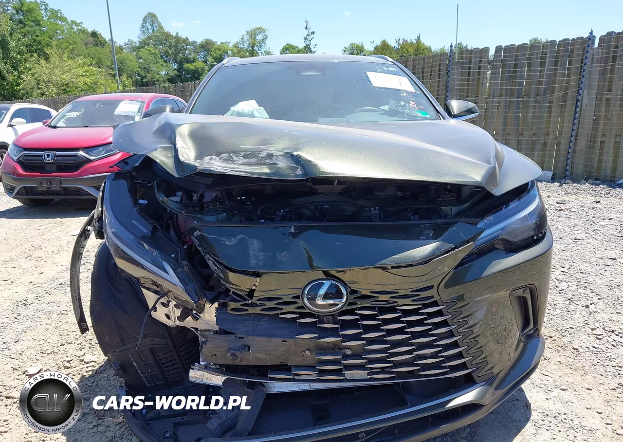 2025 Lexus Rx 350H Premium VIN:2T2BBMCA4SC104218 - 13